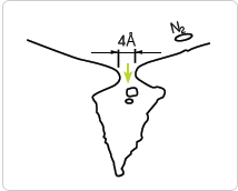 CMS : 4A